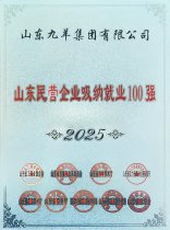 山東九羊集團(tuán)有限公司2025年度山東民營(yíng)企業(yè)吸納就業(yè)100強(qiáng)