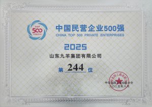 2025年中國(guó)民營(yíng)企業(yè)500強(qiáng)244位