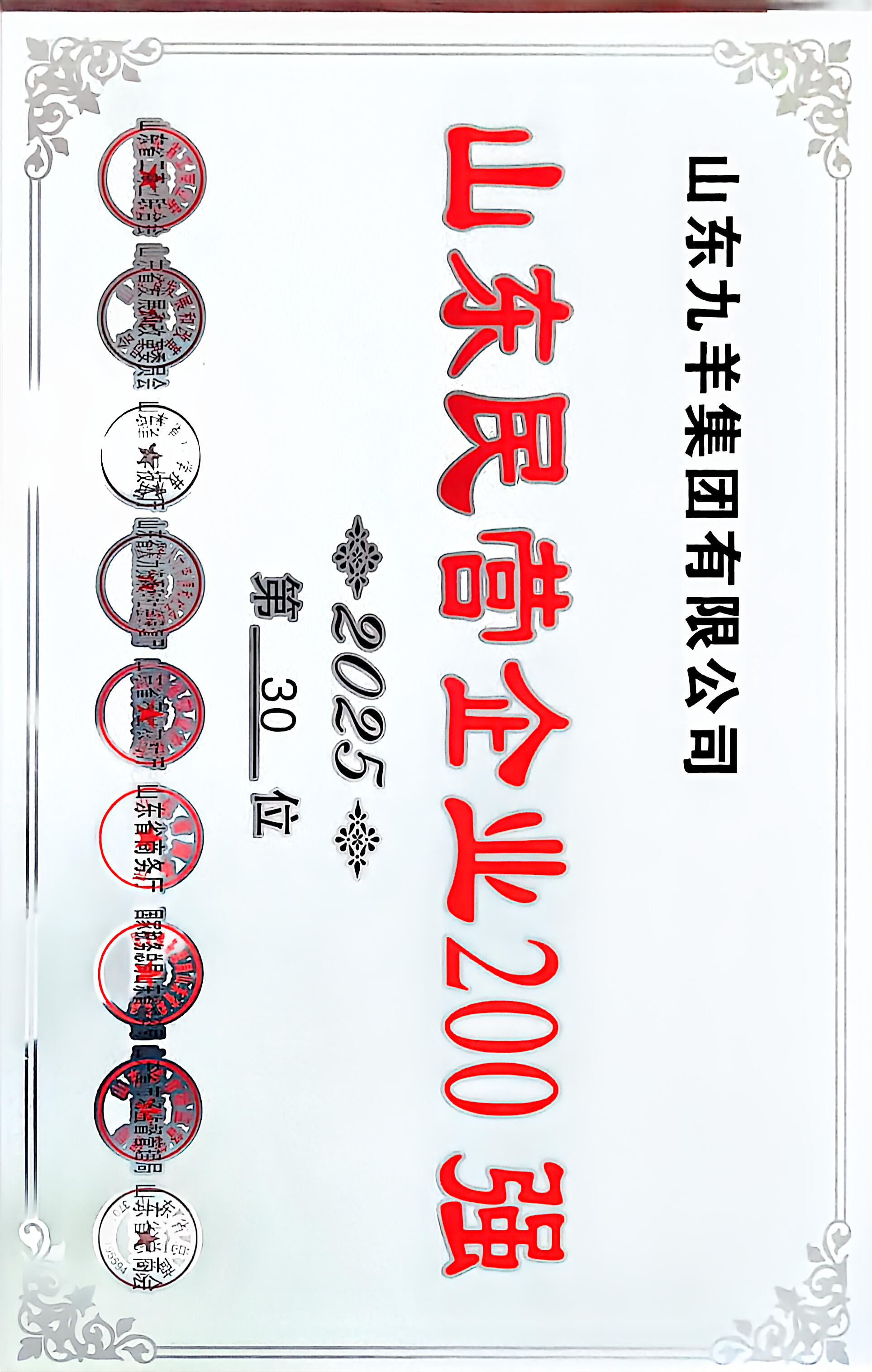 山東九羊集團(tuán)有限公司2025年度山東民營(yíng)企業(yè)200強(qiáng) 第30名
