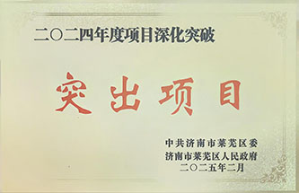 2024年度項(xiàng)目深化突破突出項(xiàng)目